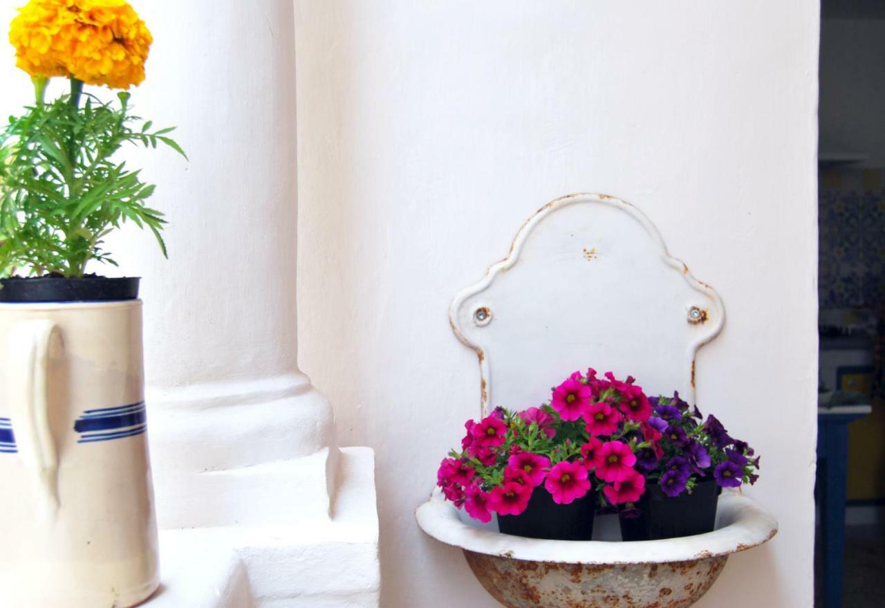Df Bed & Breakfast
